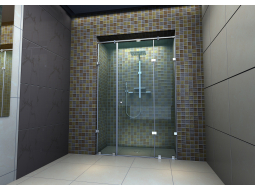 Стеклянная душевая перегородка Roberta Monte