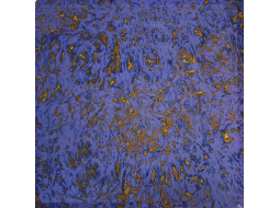 Зістарене дзеркало J033_4 Зістарене дзеркало J033_4